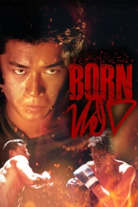 Dã Chiến Giang Hồ - Born Wild (2001)